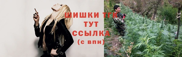 шишки Корсаков