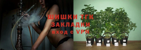 шишки Корсаков