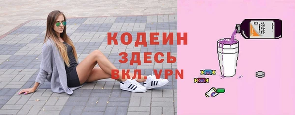 шишки Корсаков