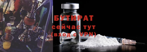 шишки Корсаков