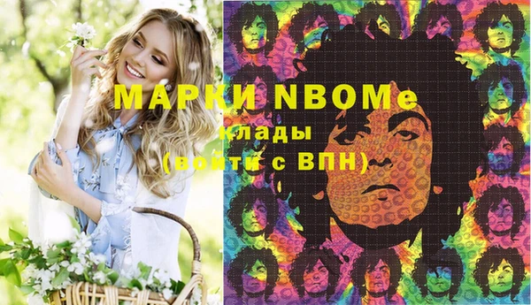 шишки Корсаков