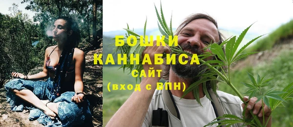 гидра Кодинск