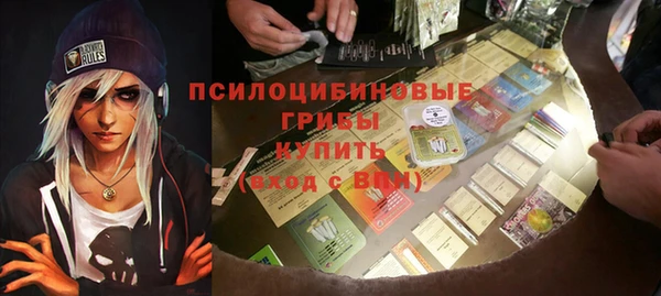 шишки Корсаков