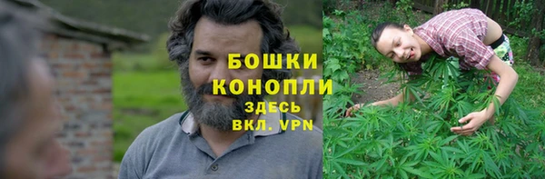 шишки Корсаков