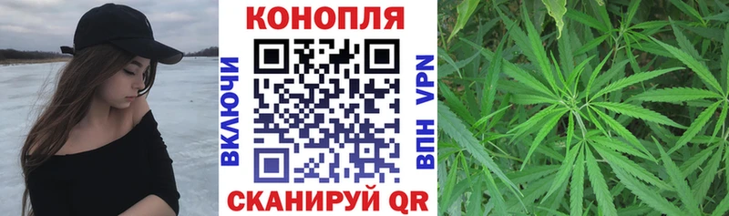 Купить где  Волосово  Марихуана MAZAR 